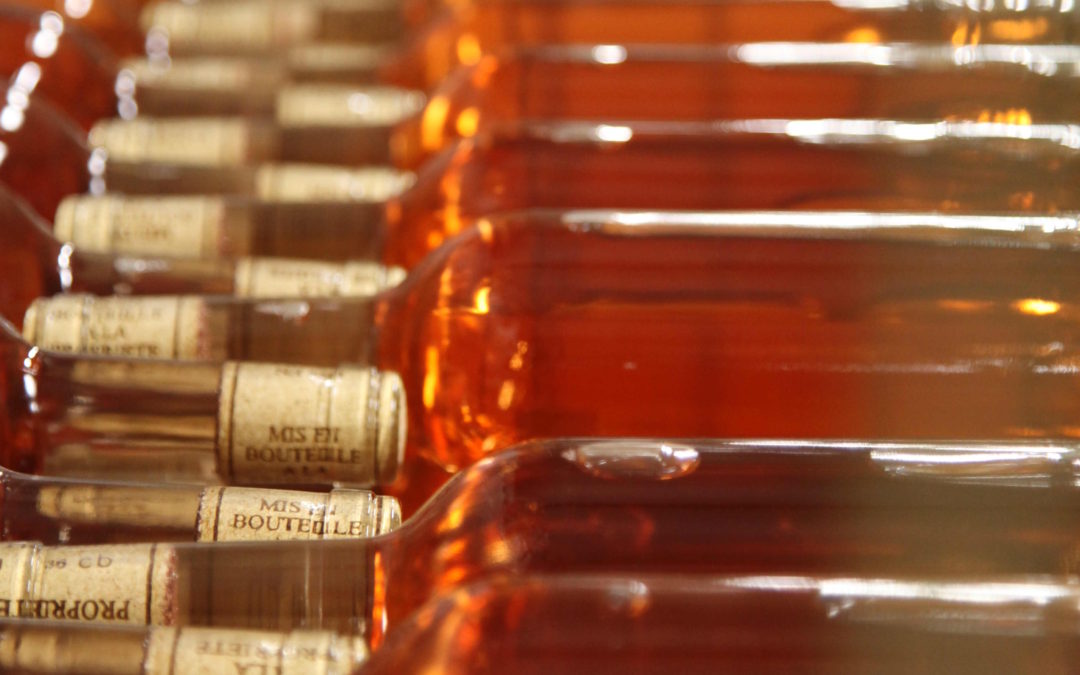 Monbazillac qui es-tu ? Partie 2 – Caractéristiques de l’appellation